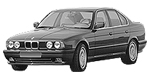 BMW E34 P2231 Fault Code